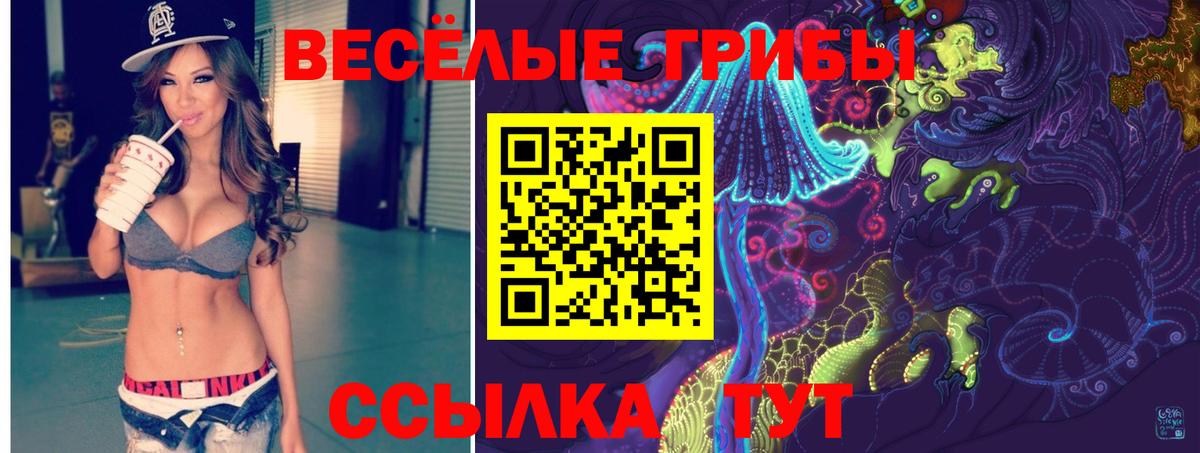 Псилоцибиновые грибы Psilocybine cubensis Златоуст